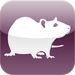 Cellar Rat